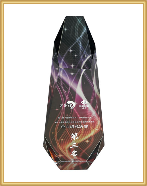 第一届“龙岗城投杯”创新创业大赛 企业组总决赛 第三名